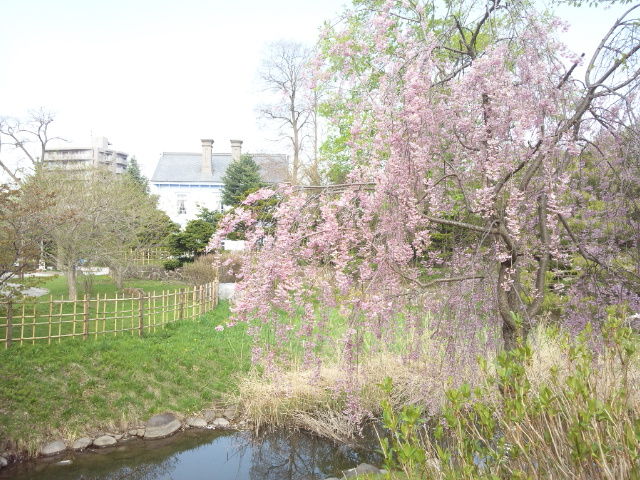 5月9日