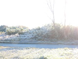 DSCN1370