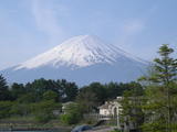 a4f2f811.JPG