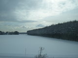 DSCN0438