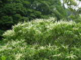 df63c634.JPG