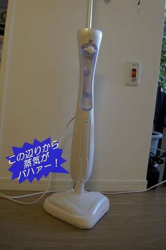 トイプードル銀座リリー優芽as know as dewan専属モデルPPGiRL★PPBOY13.jpg