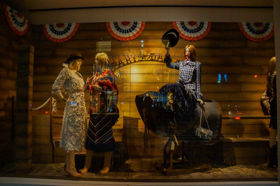 ニャンバーワン,銀座トイプードル,リリーとドナ,asknowasdewan020