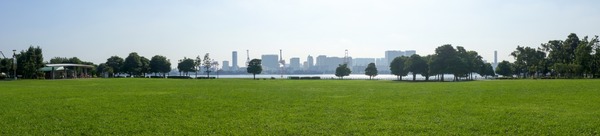 トイプードル銀座リリー18