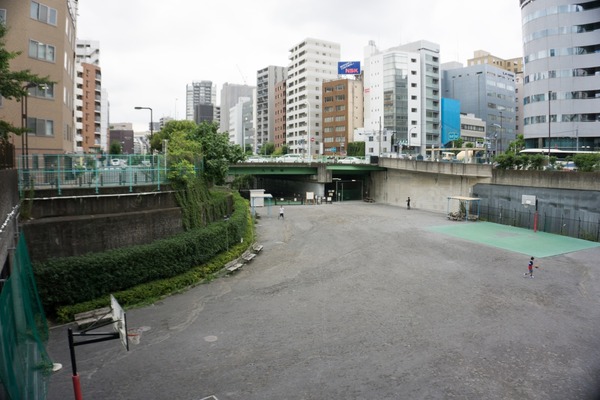 トイプードル銀座リリー14