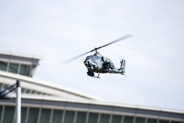 ブラックトイプードル銀座リリードナ012