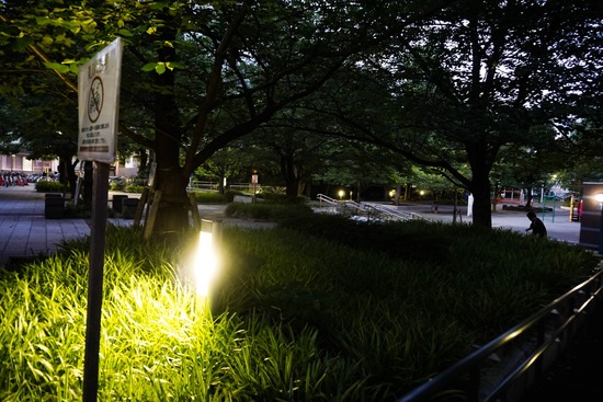 ニャンバーワン,銀座トイプードル,リリーとドナ,asknowasdewan016