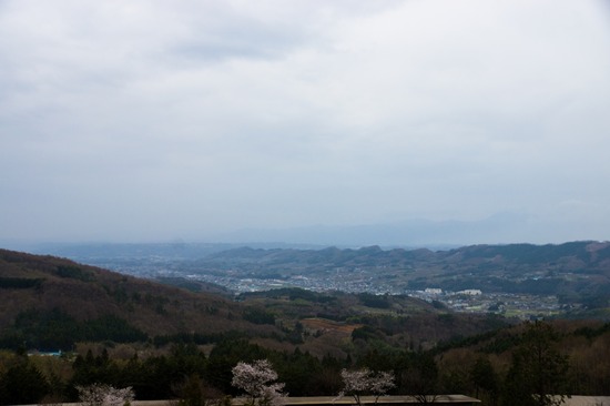 406 銀座ブラックのトイプードルリリーとドナas know as de wan09