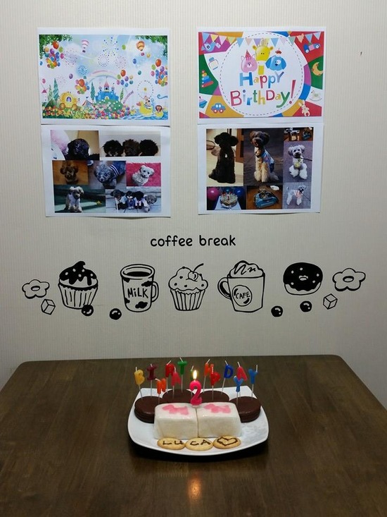 10438572_536203426513038_7945025393808152546_n