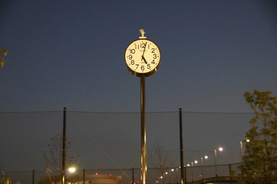 銀座 トイプードル リリー as know as de wan40