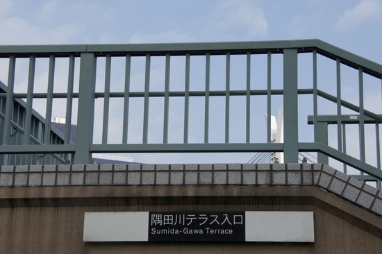 as know as de wanとトイプードルブラックの銀座リリー02