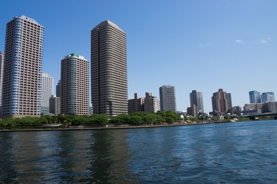 503 銀座ブラックのトイプードルリリーとドナas know as de wan19