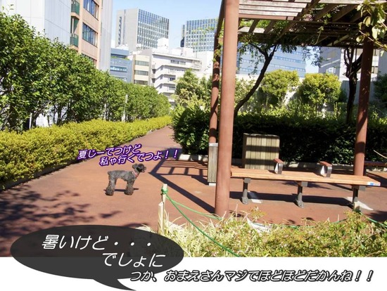 as know as de wanとブラックのトイプードル銀座リリー03