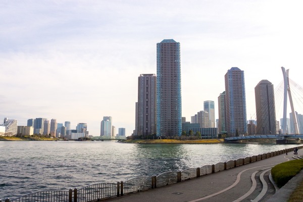 ブラックトイプードル銀座リリードナ002