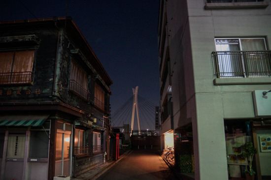 ニャンバーワン,銀座トイプードル,リリーとドナ,asknowasdewan002