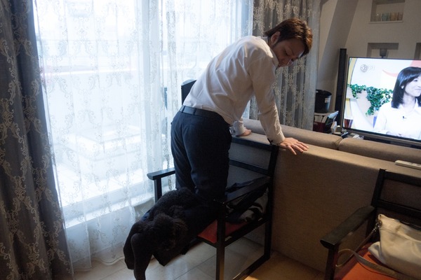 トイプードル銀座リリー09