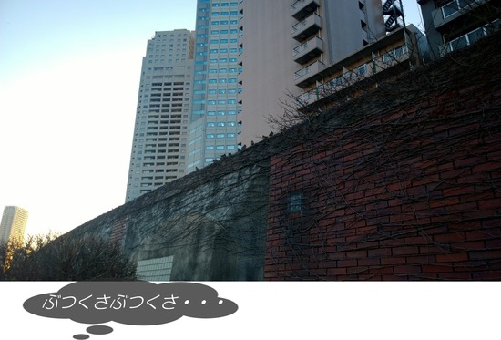 WP_20140116_16_17_33_Pro