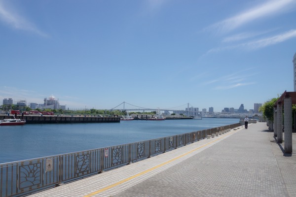 ブラックトイプードル銀座リリードナ00022