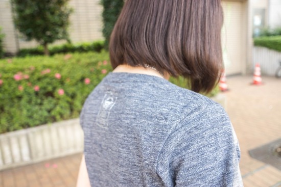 ニャンバーワン,銀座トイプードル,リリーとドナ,asknowasdewan009