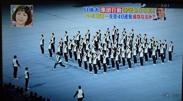 ブラックトイプードル銀座リリー＆ドナ04