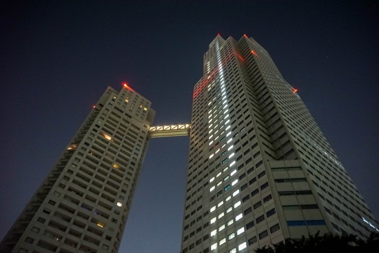 ニャンバーワン,銀座トイプードル,リリーとドナ,asknowasdewan18