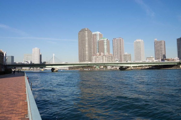 トイプードル銀座リリー014