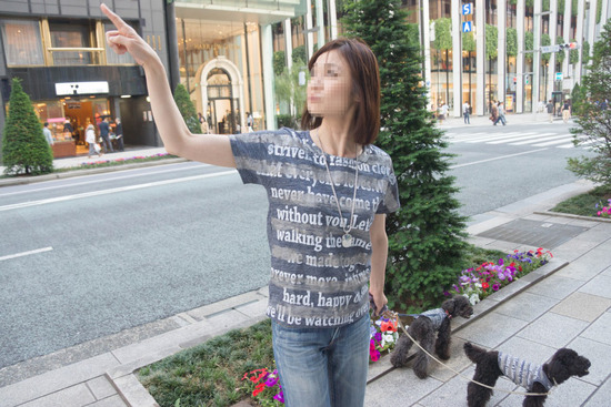 ニャンバーワン,銀座トイプードル,リリーとドナ,asknowasdewan018