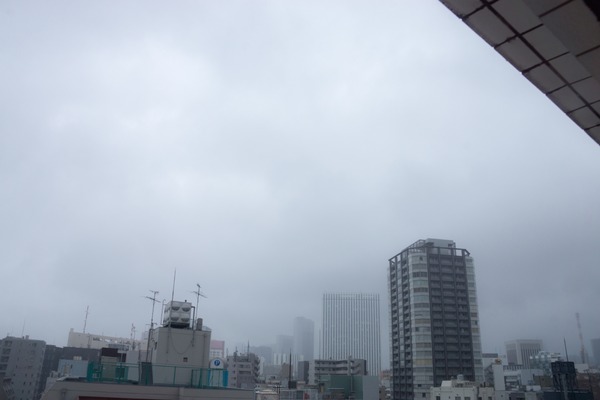 トイプードル銀座リリー03