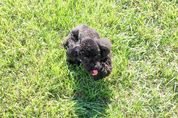 2015091420150912_145712