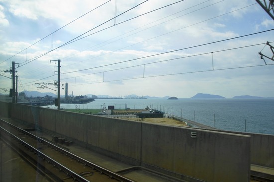 銀座トイプードルリリーas know as de wan44