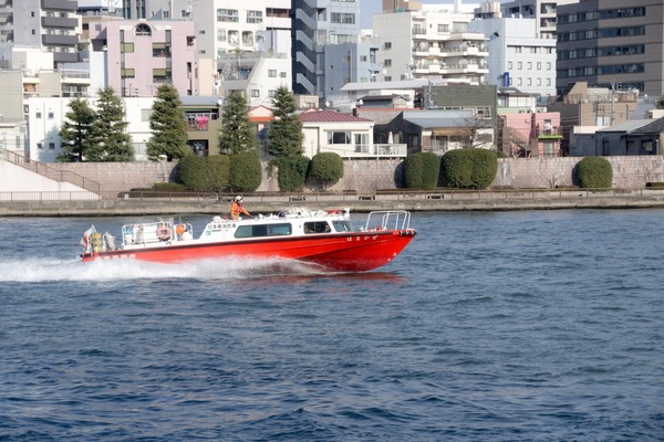 ブラックトイプードル銀座リリードナ020