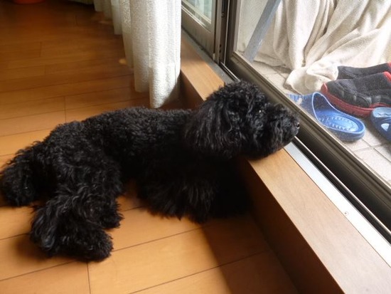 1185396_208408785994087_847983117_n