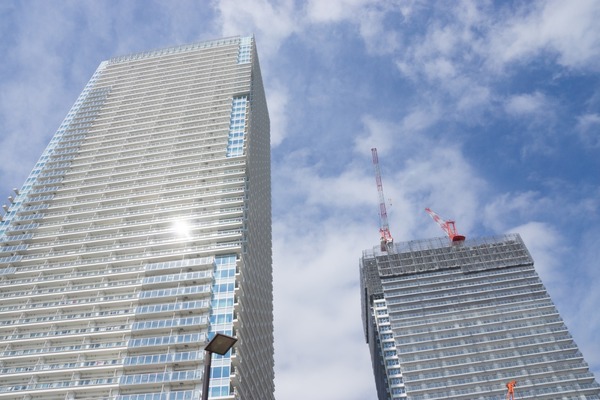 ブラックトイプードル銀座リリードナ002