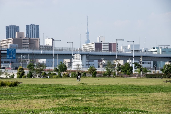 ブラックトイプードル銀座リリードナ016