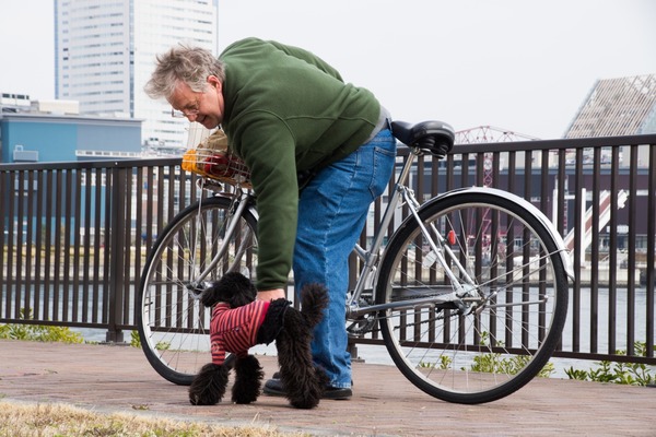 ブラックトイプードル銀座リリードナ002