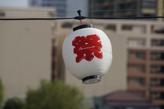 as know as de wanとトイプードルブラックの銀座リリー11