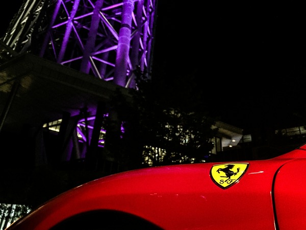 ブラックトイプードル銀座リリードナ021