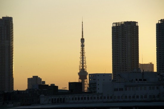 トイプードル銀座リリーas know as dewan05