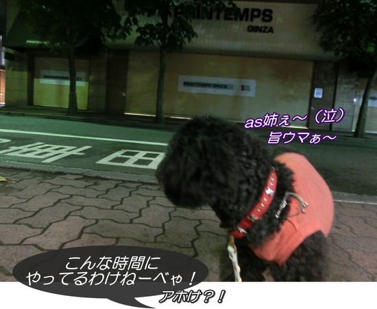 as know as de wanとトイプードルブラックの銀座リリー10