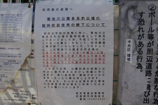 銀座トイプードルリリーas know as de wan27