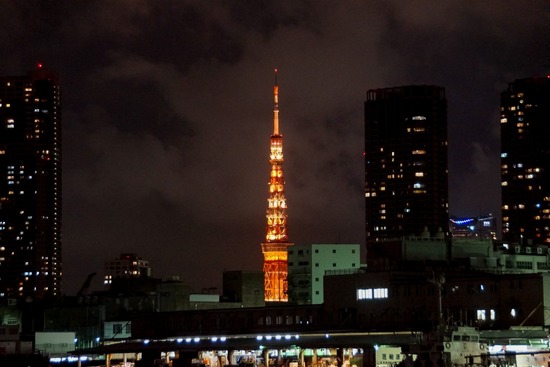 トイプードル銀座リリー＆ドナ22