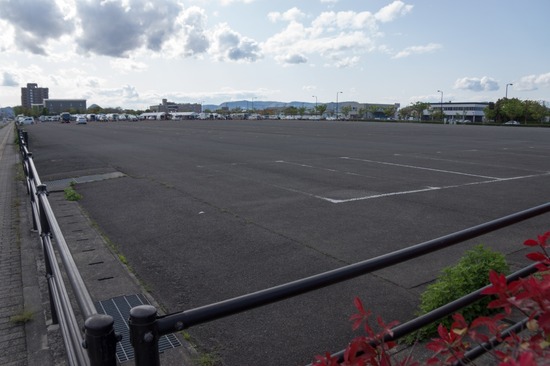 421 銀座ブラックのトイプードルリリーとドナas know as de wan18