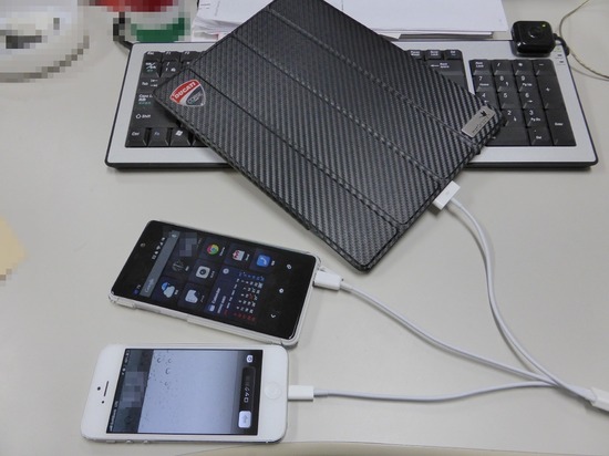 329 銀座ブラックのトイプードルリリーとドナas know as de wan15