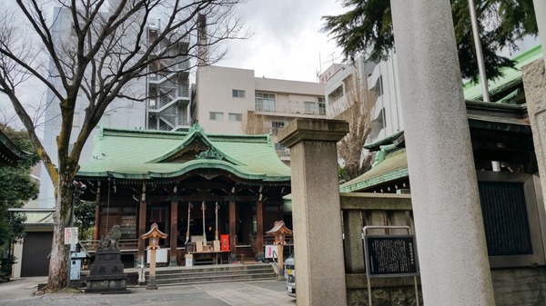 トイプードル銀座リリー007