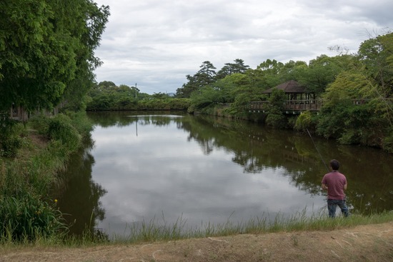 トイプードル銀座リリー&ドナ39
