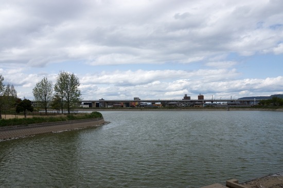 421 銀座ブラックのトイプードルリリーとドナas know as de wan08