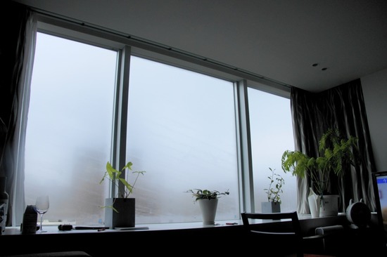 as know as de wan トイプードル 銀座リリー25