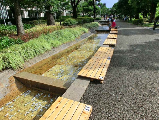 as know as de wanとトイプードルブラックの銀座リリー07