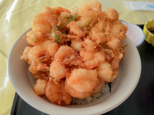 トイプードル銀座リリー005