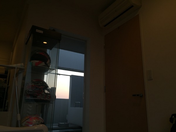 ブラックトイプードル銀座リリードナ07